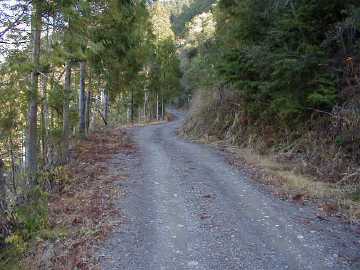 須川林道