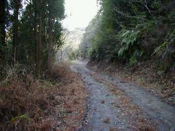 須川林道