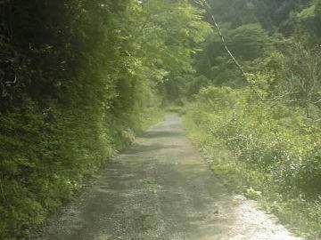 鈴が森林道