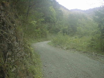 鈴が森林道