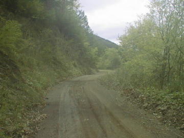鈴が森林道