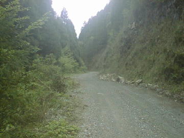 鈴が森林道