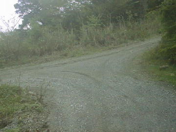 鈴が森林道