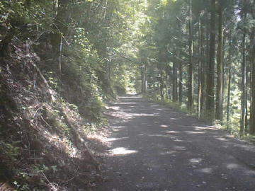 鈴が森林道