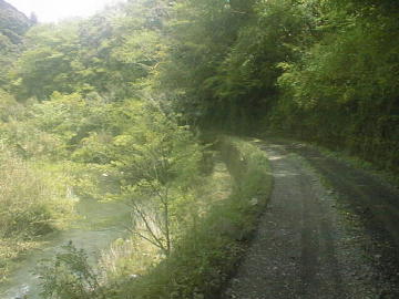 鈴が森林道