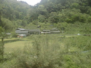 鈴が森林道