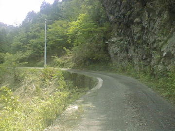 鈴が森林道