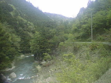 鈴が森林道