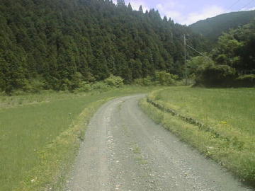 鈴が森林道