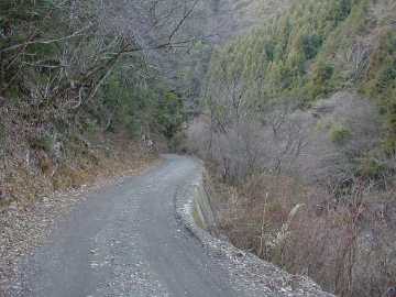 鈴が森林道