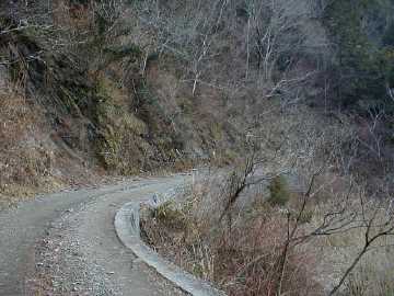 鈴が森林道