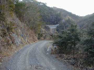 鈴が森林道