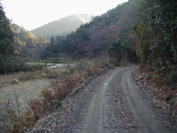 鈴が森林道
