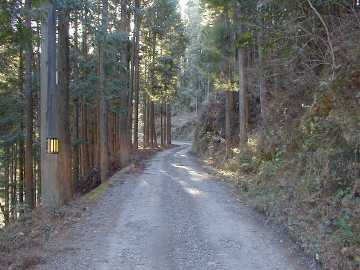 鈴が森林道