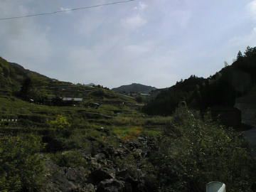 谷相林道