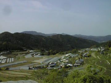 谷相林道