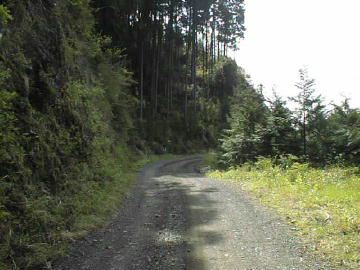 谷相林道