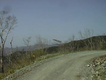 谷相林道