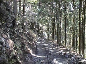 谷相林道
