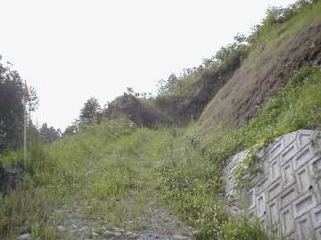 立川中の村川向林道