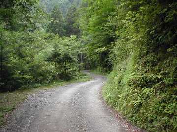 宇筒舞林道・中津尾林道