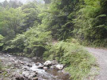 宇筒舞林道・中津尾林道