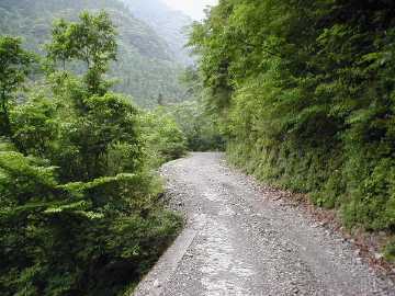 宇筒舞林道・中津尾林道