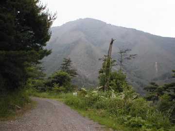 宇筒舞林道・中津尾林道