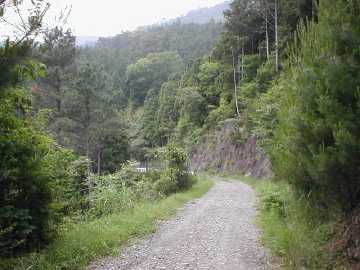 宇筒舞林道・中津尾林道