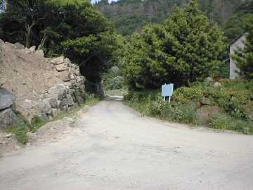 焼川二角林道