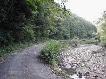 焼川二角林道