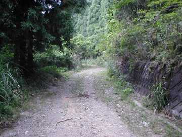 焼川二角林道
