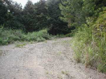 焼川二角林道