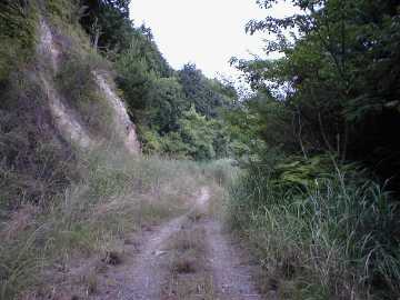 焼川二角林道