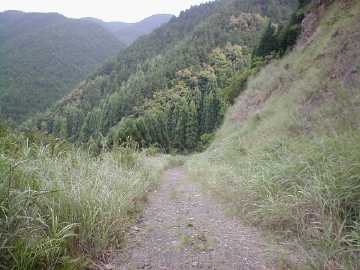 焼川二角林道