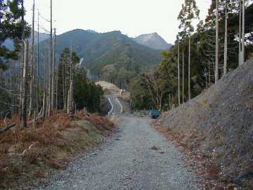 阿瀬川林道