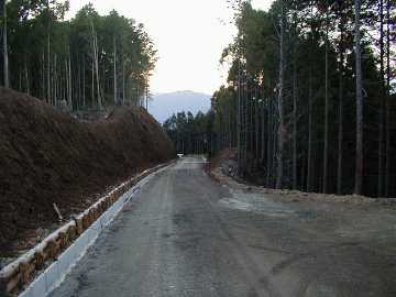 広岡池ヶ谷林道