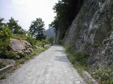 日和茶坂瀬林道