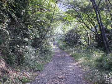 県道3（志度山川線）