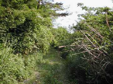 県道3（志度山川線）
