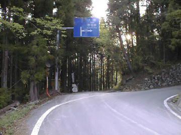 祖谷山笹谷林道