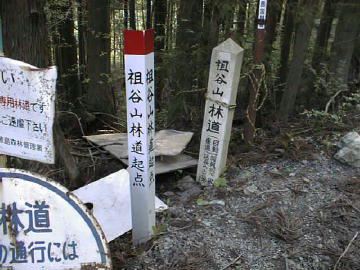 祖谷山笹谷林道