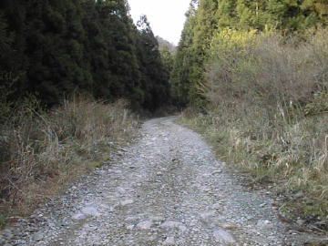 祖谷山笹谷林道
