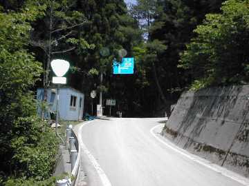 祖谷山笹谷林道