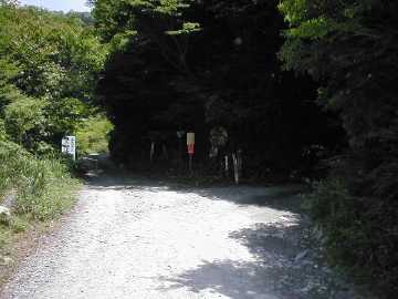 祖谷山笹谷林道