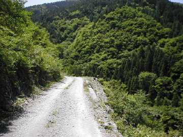 祖谷山笹谷林道