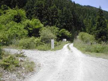 祖谷山笹谷林道