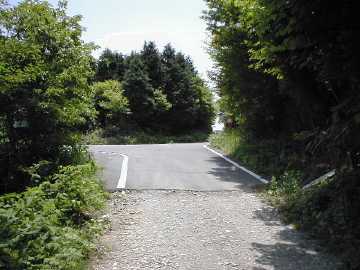祖谷山笹谷林道
