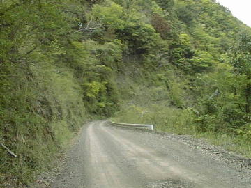 大木屋小石川林道