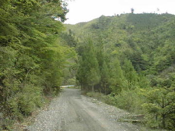 大木屋小石川林道